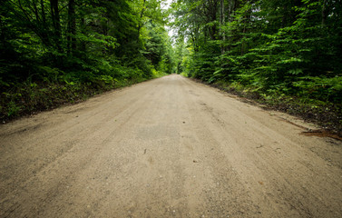 Remote Country Dirt Road. Remote dirt road traverses through the Hiawatha National Forest in the wilderness of Michigan's Upper Peninsula. Horizontal wide angle with copy space in the foreground.