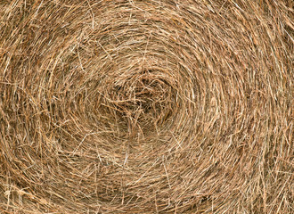 Proces of harvesting, stacked hay bales for feeding animals