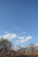 The African sky. Mozambique