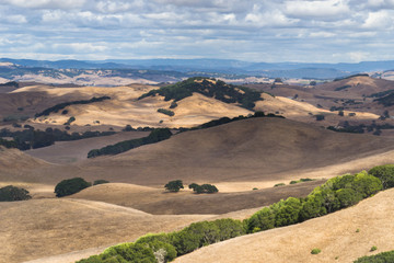 sonoma hills