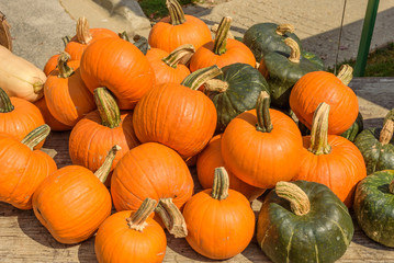 bunch of pie pumpkins outside at farmer's market