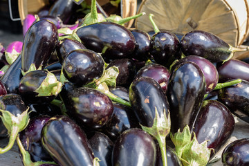 fresh picked eggplant for sale at farmer's market