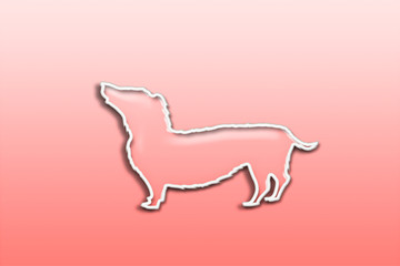 犬のイメージ