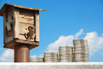 Money saving concept for investment with stacked coins next to birds house