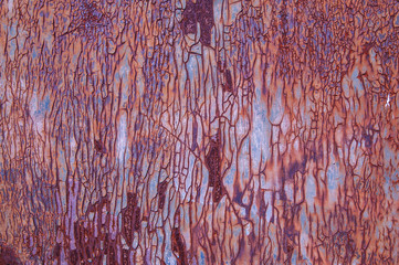 Weathered once painted metal surface with lot of rust