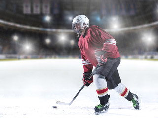 ice hockey player in action