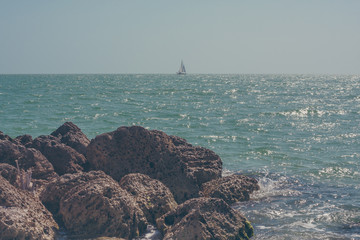 Distant sail boat on the ocean centered with coral in the foreground