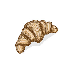 bread Croissant hand drawing graphic object