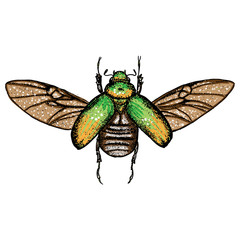 Insect stipple drawing isolated in color for Halloween. Insects and bug beetle in trendy colourful embroidery stippling and hatching, shading style. Vector.