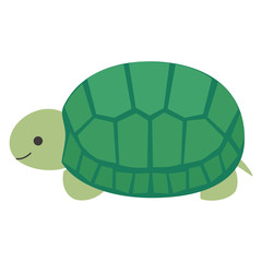 横向きで休むカメ