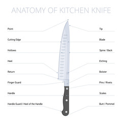 Kitchen knife parts diagram: blade, bolster, handle, spine, edge, butt, heel. Flat illustration of cooking steel tool with callouts. Vector design infographic elements isolated on white background.