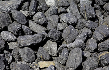 Pieces of fossil coal