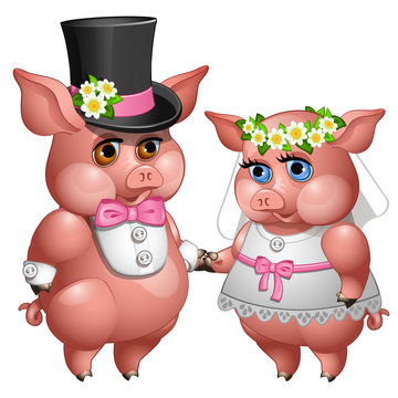 Marriage of bride and groom pigs in wedding suits