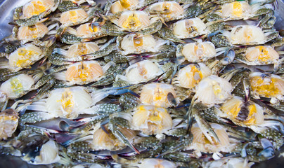 Fresh crab,(Blue crab)
