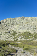 Padded brushwood (Cytisus oromediterraneus and Juniperus communis) next to the Pico del Nevero (Snowfield Peak; 2.209 metres), in Guadarrama Mountains National Park, Spain