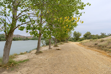 The river Ebro on its way through Escatron, Aragon
