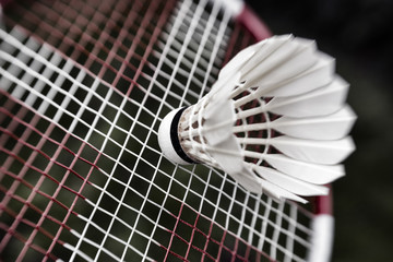 Closeup shuttlecock on racket