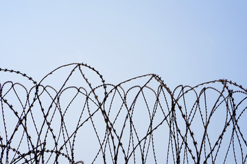 Coiled barbed wire fencing against a blue sky background