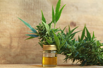 cannabis oil and hemp