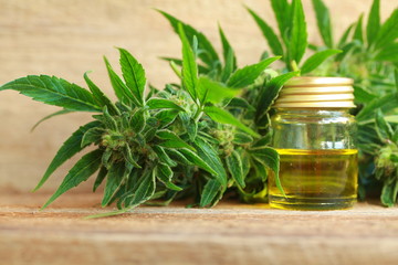 cannabis oil and hemp