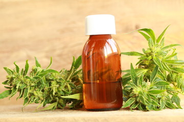 cannabis oil and hemp