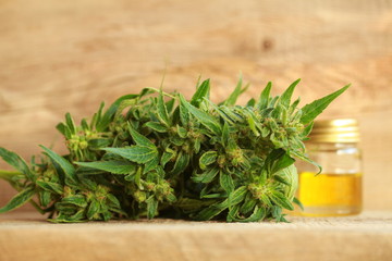 cannabis oil and hemp