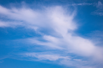 Fototapeta na wymiar The white cloud in the blue sky of summer
