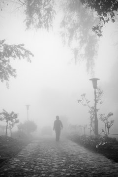 Disappear into the misty forest