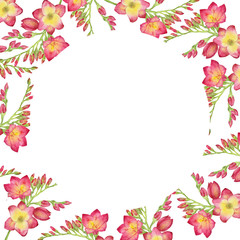 Watercolor illustration of a red freesia, bouquet, branch with buds. 