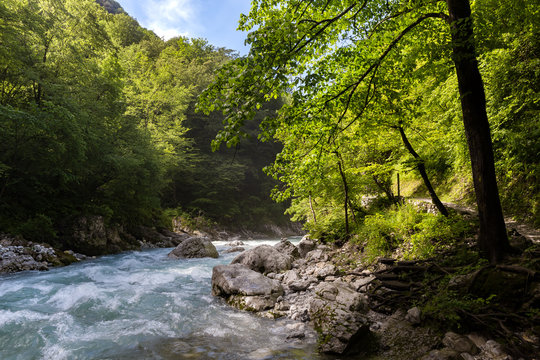 Soča national park mountain river stream forest and green trees evening blue water 