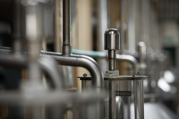 Tea Tree oil extraction equipment