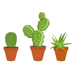 Foto op Plexiglas Cactus in pot Cactus ingesteld icoon