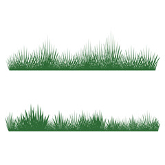 Green grass vector