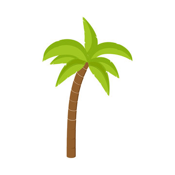 Cartoon Palm Tree Images – Browse 147,018 Stock Photos, Vectors, and Video  | Adobe Stock