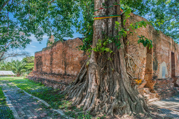 Bodhi Tree is beside the old Buddhist Church