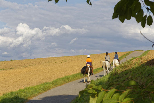 horse riding in german countryside
