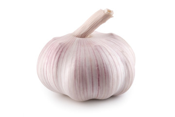 Fresh garlic on white background