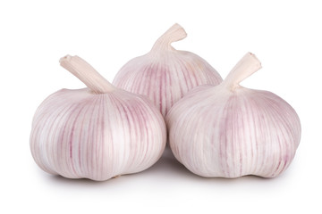 Fresh garlic on white background