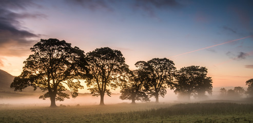 Mist in the Fields at Sunrise