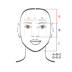 Perfect face proportions. Vector illustration.