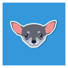 Little Head of Chihuahua Dog Front View Flat Icon