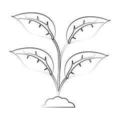 Plant on ground icon vector illustration graphic design