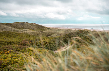 View over dunes at blåvand beach in Denmark Scandinavia England cloudy holiday tourists are traveling 