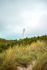 Fototapeta na wymiar Blåvand Lighthouse in between dunes near the beach in Denmark danish in Scandinavia