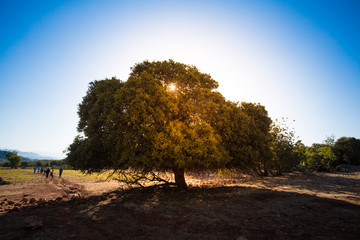 Obraz premium Holiday city of Kekova and trekking