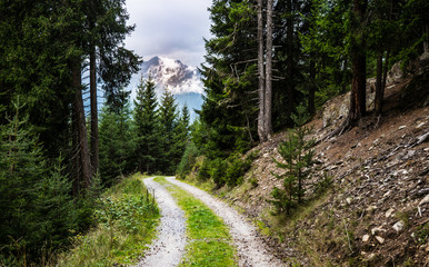Fototapeta na wymiar Wanderweg in den Alpen (Österreich, Kaunergrat)