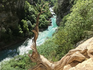 falaise des gorges du verdon
