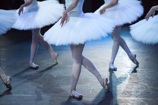 performance, choreography, dancing concept. elegant legs of amasing beautiful ballerinas standing in identical poses of graceful and dignified birds, snowy white swans
