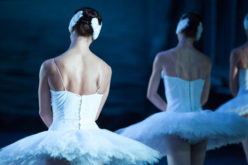 ballet, beauty, dramatic art concept. moveless and absolutly identical figures of female ballet...