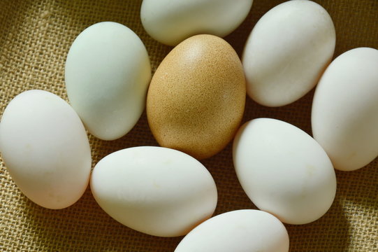 brown and white egg arranging on sackcloth